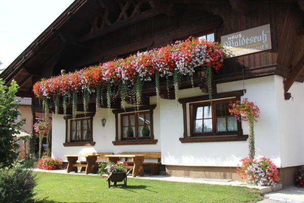 Waldesruh Apartment Niederthai Zewnętrze zdjęcie
